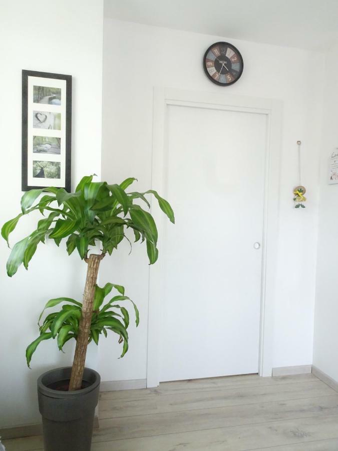 Antica Casa Alboletta Apartment Riva del Garda Exterior photo